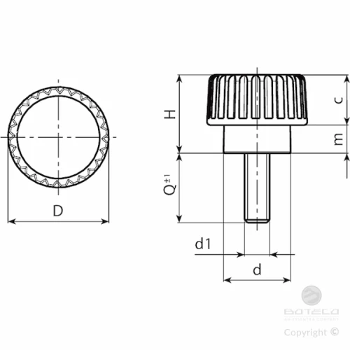 BOUTON MOLETE EPAULE FILETE REF H759-15M05X10