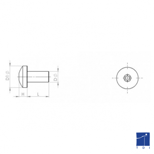 Vis autoformeuse à métaux tête cylindrique bombée  6 lobes Internes DIN 7500C TORX M3 X 0.50 X 10mm acier cémenté zingué blanc
