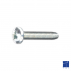 Vis autoformeuse à métaux  tête cylindrique bombée 6 lobes Internes DIN 7500C TORX M2.5X 0.45 X 5mm acier cémenté zingué blanc