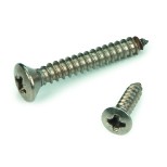 Vite autofilettante a testa svasata ovale DIN 7983 M3.9 x n°7 x 25mm Acciaio inox A2